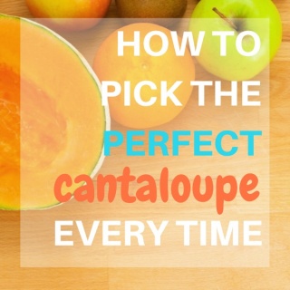 How To Pick A Cantaloupe - Serendipity And Spice