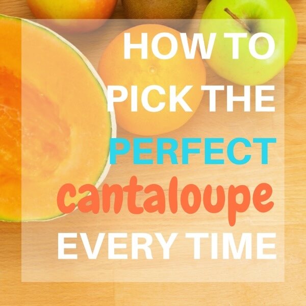 How to pick a cantaloupe