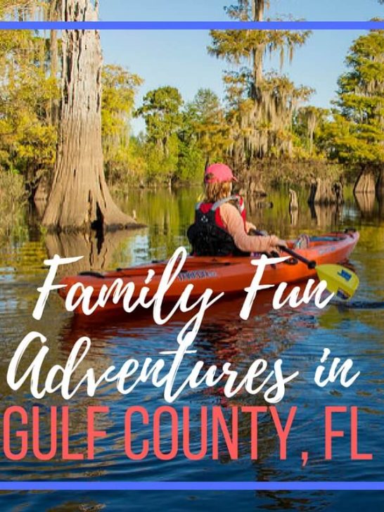5 Family Fun Adventures in Gulf County, Florida
