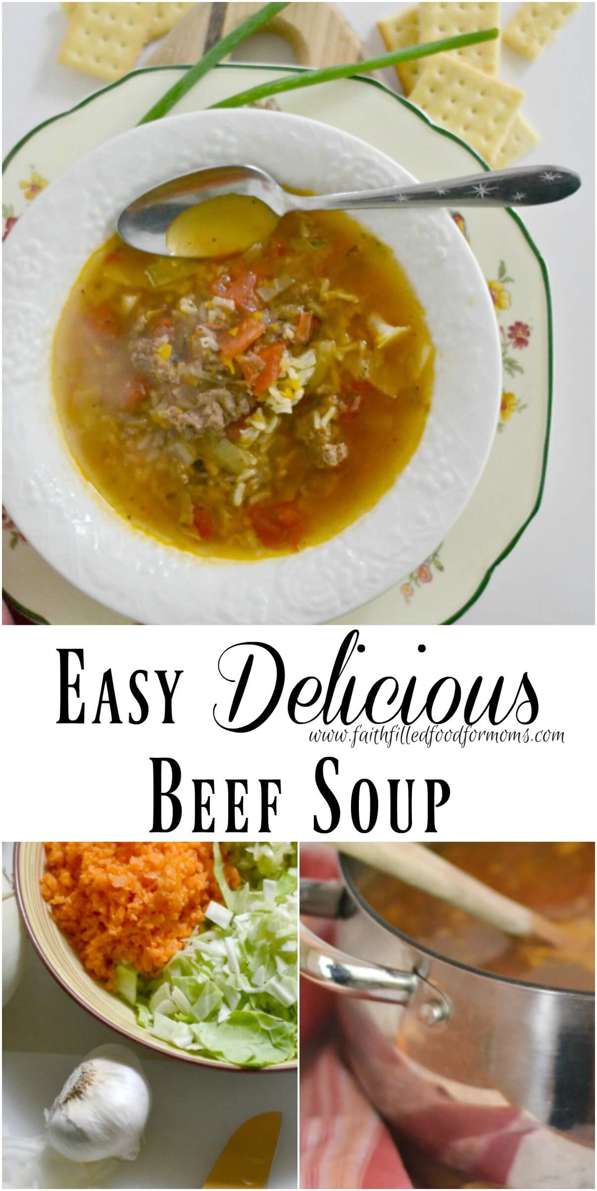 Easy Delicious Beef Soup - Serendipity And Spice