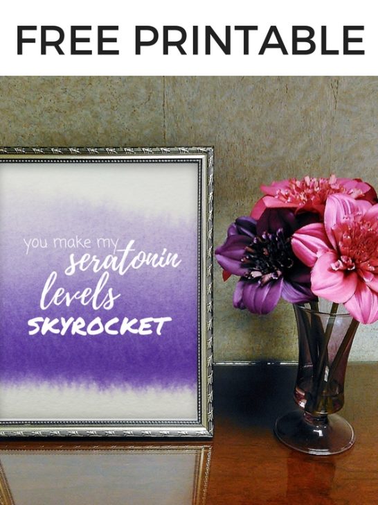 Free Printable - You Make My Seratonin Levels Skyrocket
