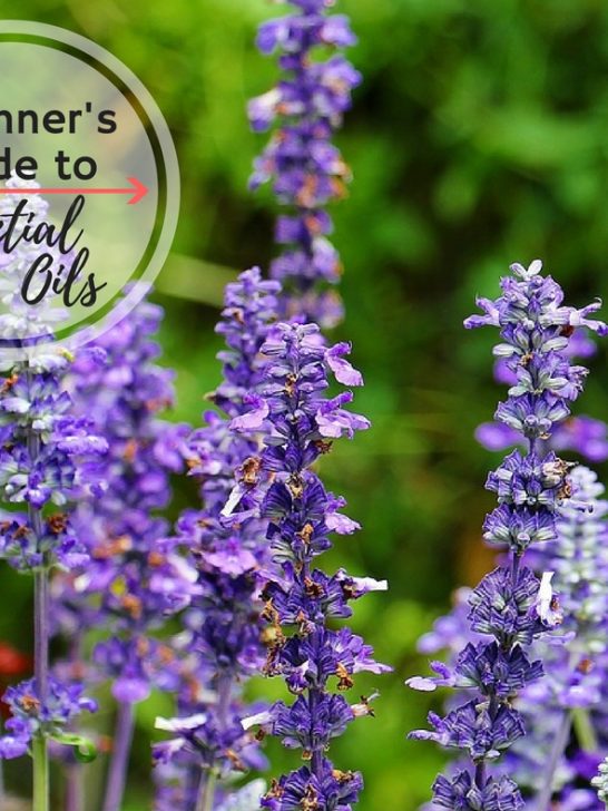 The Ultimate Beginner's Guide to Essential Oils - Understand how to use them, why you should use essential oils, and how to be safe with essential oils.