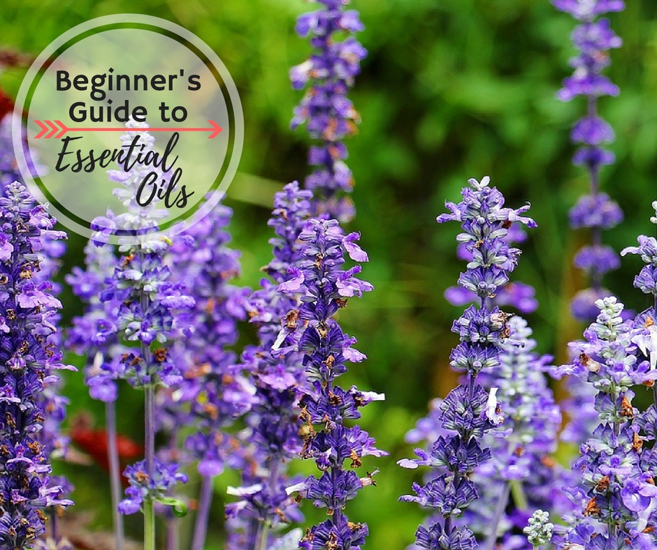 The Ultimate Beginner's Guide to Essential Oils - Understand how to use them, why you should use essential oils, and how to be safe with essential oils.