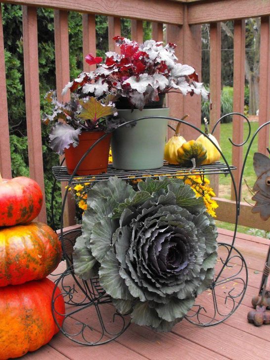 CobraCo Two Tiered Garden Cart FC100 Review
