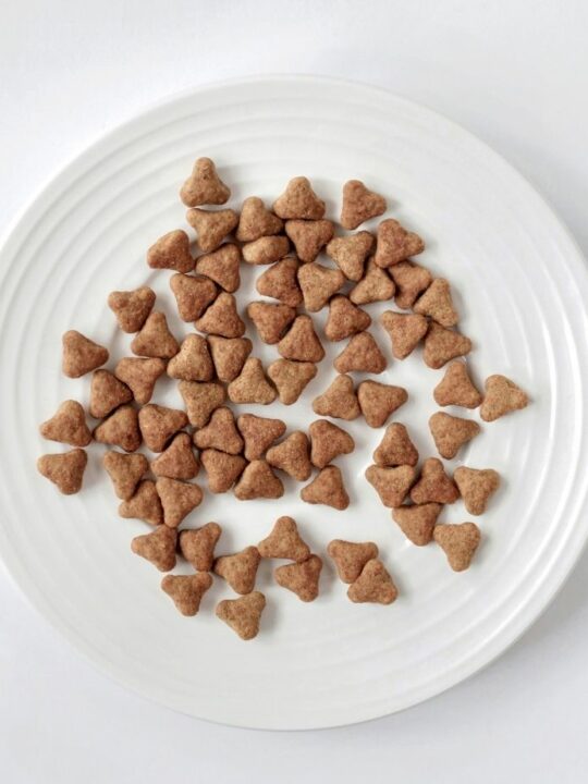 Homemade Cat Treats with Tuna Recipe