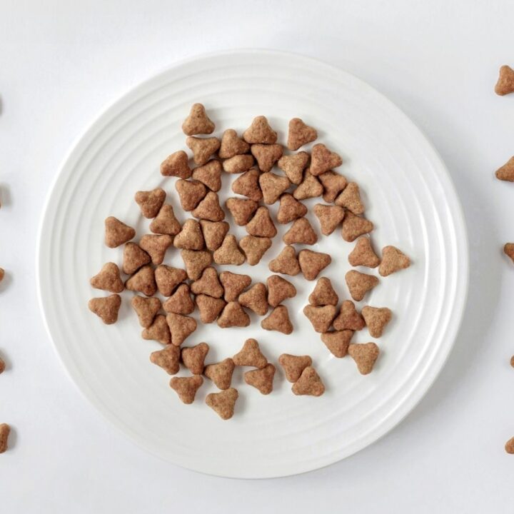 Homemade Cat Treats with Tuna Recipe