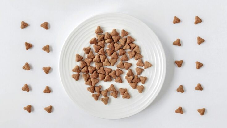 homemade cat treats Homemade Cat Treats with Tuna These easy homemade cat treats with tuna are super simple to make. Using 5 ingredients and less than 15 minutes...you'll have the perfect treat for your fur baby!