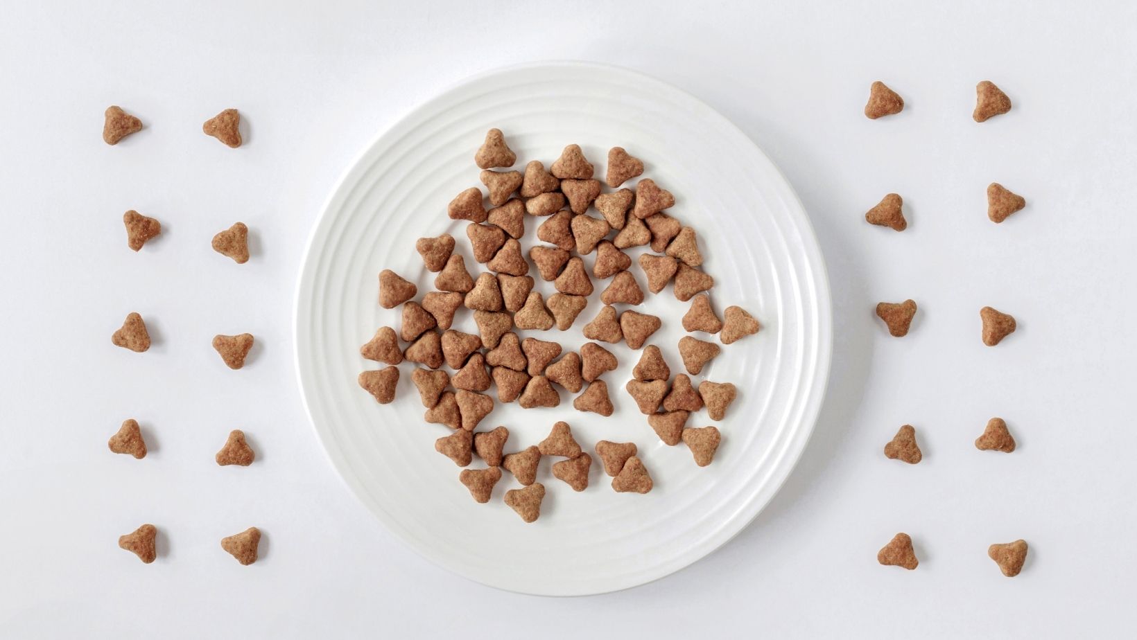 Homemade Cat Treats Recipe-image