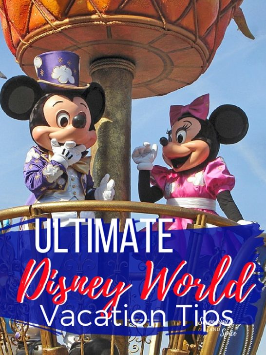 Disney Vacation Tips