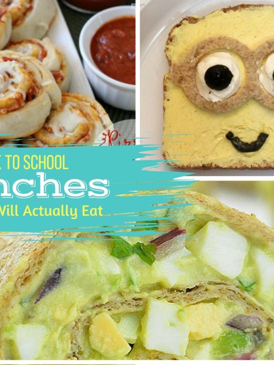 School Lunches for Picky Eaters