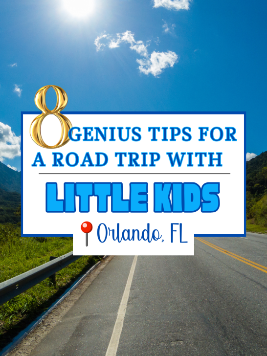 Road trip with little kids - tips and tricks