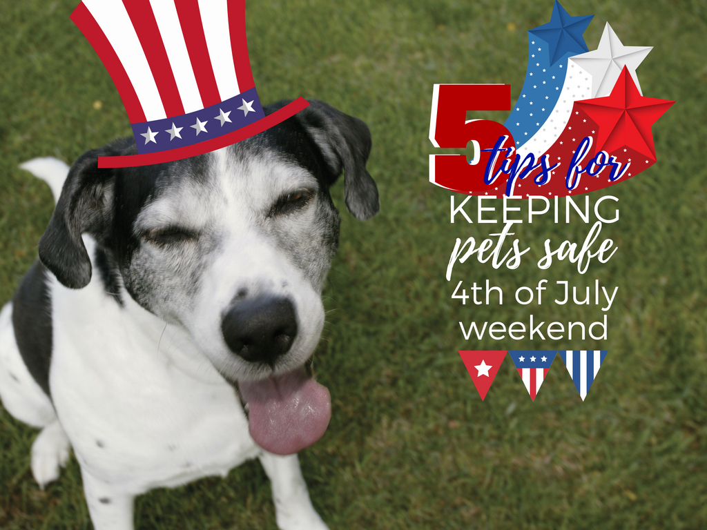 Protecting Your Pets During 4th of July