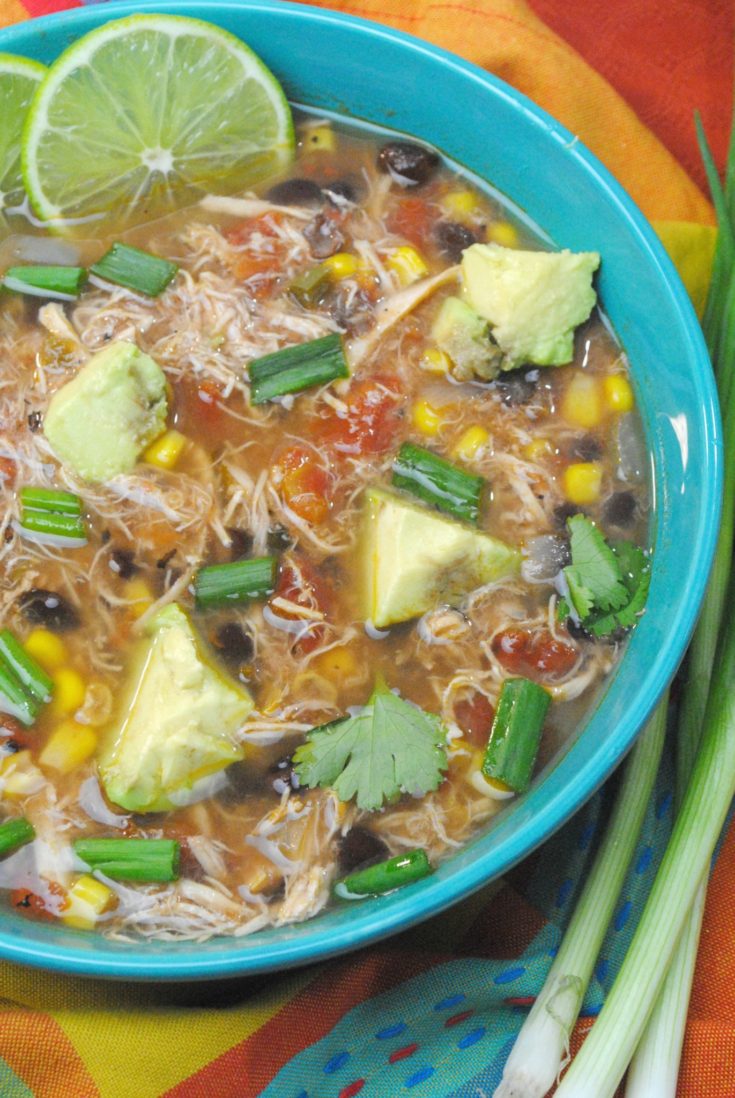 Spanish Slow Cooker Chicken Soup
