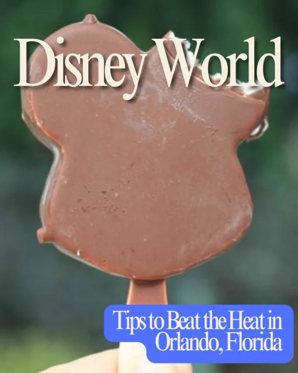 Beat the Heat in Disney World with these tips and tricks