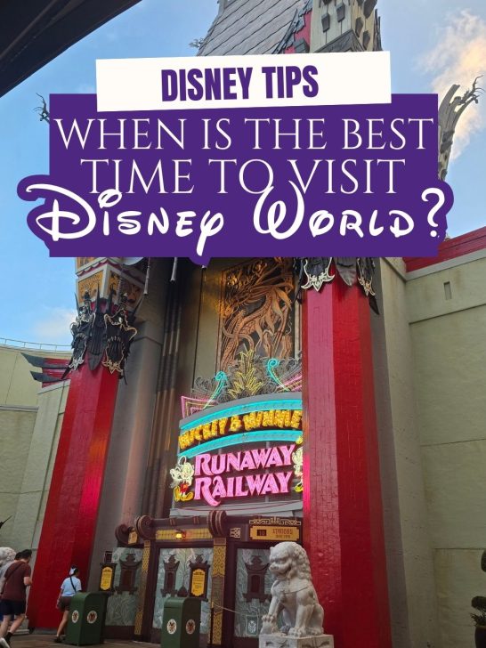 Surviving Disney: When To Visit Disney World for the Best Trip 1 Surviving Disney: When To Visit Disney World for the Best Trip Surviving Disney: When To Visit Disney World for the Best Trip