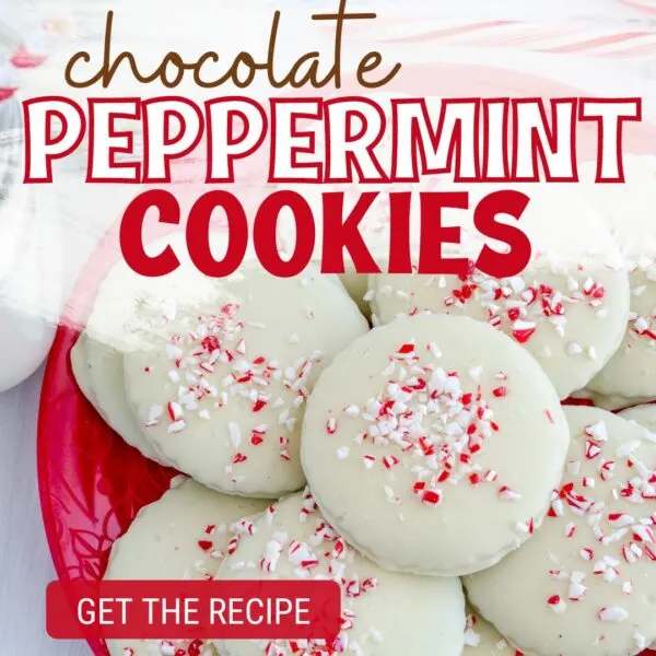 chocolate peppermint cookies