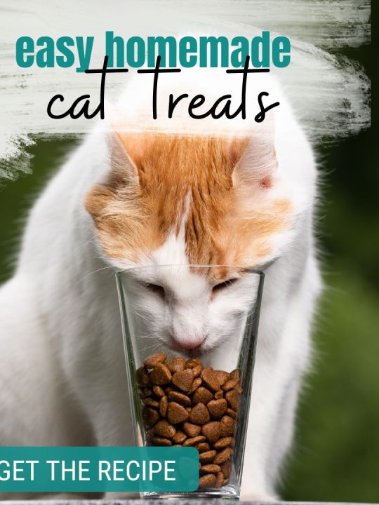 Homemade Cat Treats with Tuna