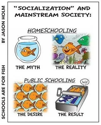 eb209e9f523b996af81bf424a8c65b21 Overcoming Homeschool Criticism- Dealing with Homeschool Negativity When I took the plunge into homeschooling my kids last year, I knew there would be pushback from friends and family. I very quickly learned that I needed to shut down the criticism and negativity surrounding the topic of homeschooling. Now, I'm sharing my tips for overcoming homeschool criticism and dealing with homeschool negativity.