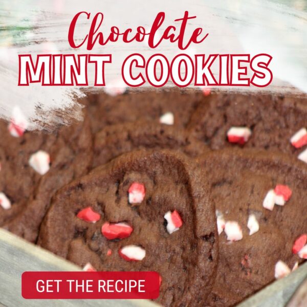 Chocolate Mint Cookies Recipe