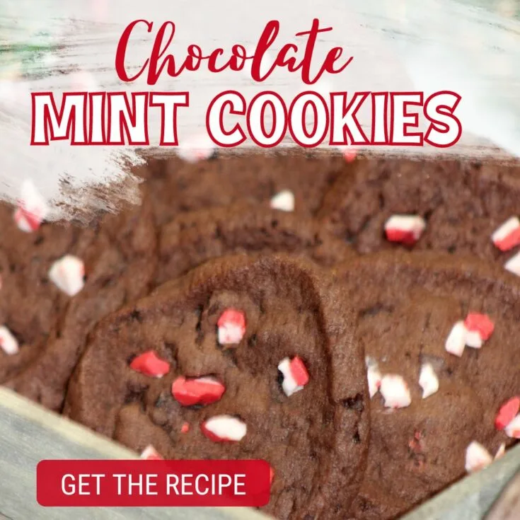 chocolate mint cookies recipe Easy Christmas Cookie Recipes to Make This Year These Easy Christmas cookie recipes are so simple and delicious to make. I love baking with the kids and these are some of our absolute favorite Christmas cookies to make. We give them as gifts to friends, family, and neighbors...as well as chow down on a few ourselves!