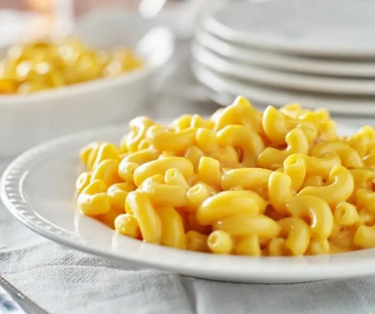 No Milk Macaroni and Cheese Recipe