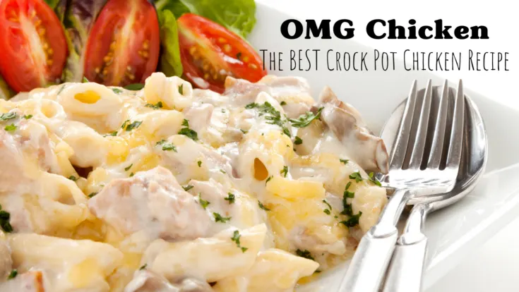 O-M-G BEST Crockpot Chicken Recipe EVER