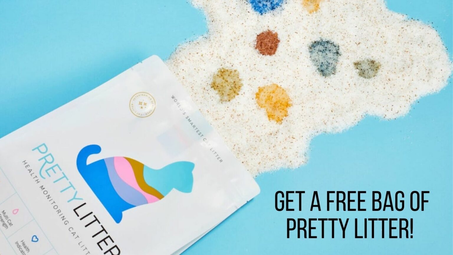 How To Keep Litter Box From Smelling With A Geriatric Cat Serendipity