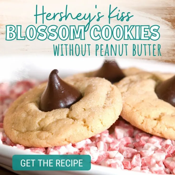 hershey kiss cookies without peanut butter Hershey Kiss Sugar Cookies No Peanut Butter These Hershey Kiss sugar cookies with no peanut butter are so delicious and perfect for my fellow non-peanut fans! A perfect alternative to the classic peanut butter blossom cookies without the peanut butter are these sugar cookies.  These are always a hit and a surprise when people realize they're not made with peanut butter like usual.