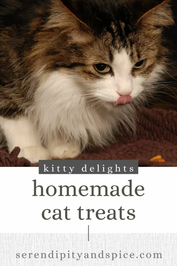 Homemade Cat Treats Recipe