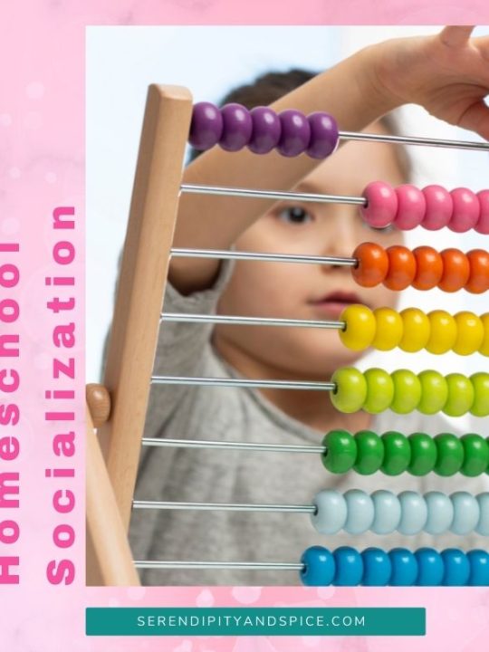 The Myth About Homeschool Socialization