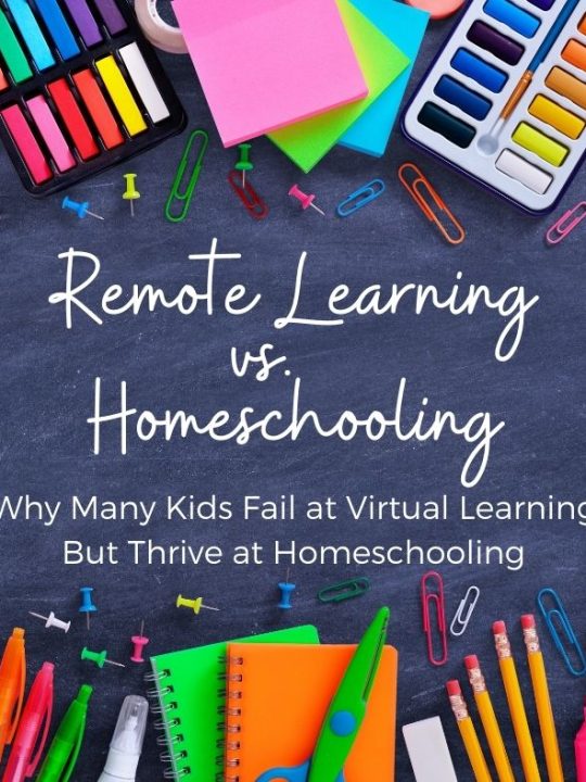 Virtual Learning vs Homeschooling