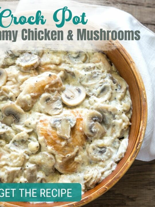Easy Crockpot Chicken Recipe with Cream of Mushroom Soup