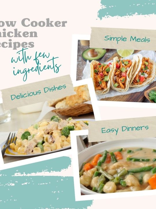 slow cooker chicken recipes with few ingredients