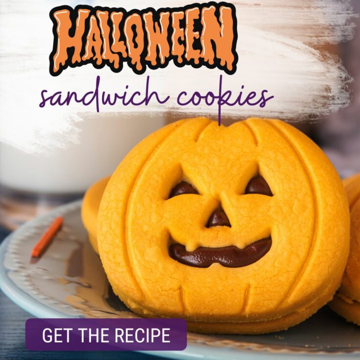 Halloween Sandwich Cookies Halloween Food Dishes the Kids Will Love These Halloween food dishes the kids will love are a little cute, a little eery, and a whole lot of fun!  Have a fun and yummy holiday with some Halloween food dishes that are perfect for parties, school lunch ideas, or just a frightfully delicious Halloween dinner!