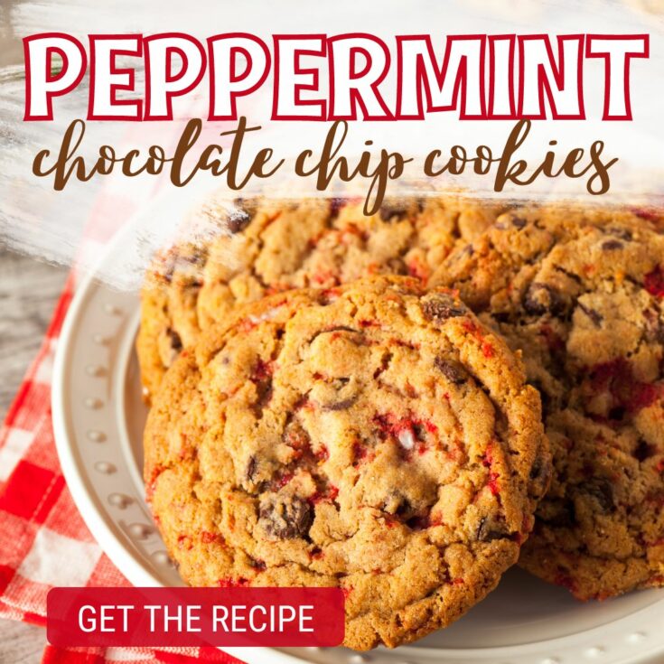 peppermint chocolate chip cookies Peppermint Chocolate Chip Cookies These peppermint chocolate chip cookies are a delicious holiday spin on a classic cookie recipe. Add a little Christmas cheer with these peppermint chocolate chip cookies!