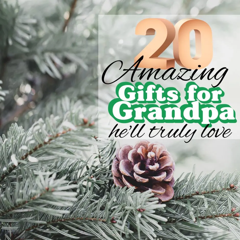 20 Amazingly Unique Gifts for Grandpa
