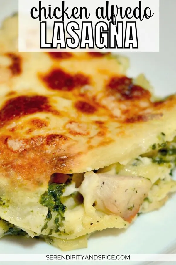 Chicken Alfredo lasagna