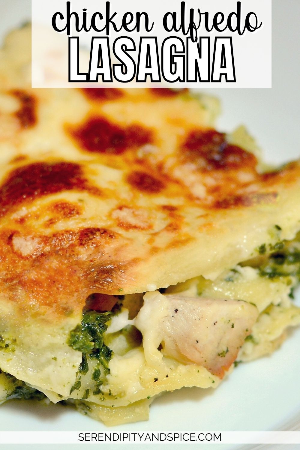 Chicken Alfredo Lasagna Recipe Serendipity And Spice
