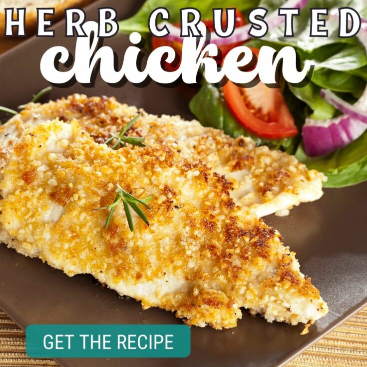herb crusted chicken tenderloin recipe