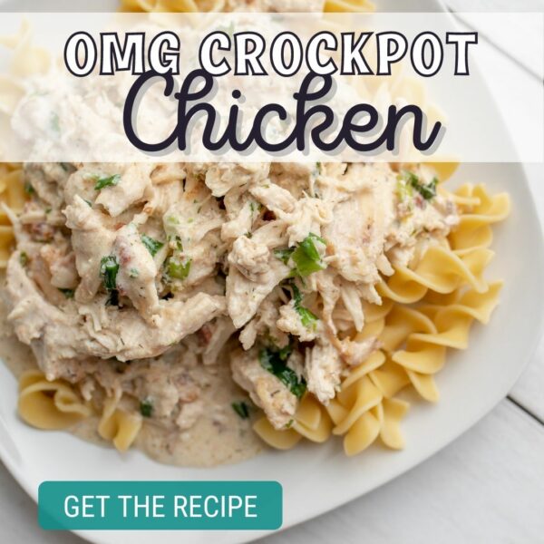 OMG Crockpot Chicken Recipe