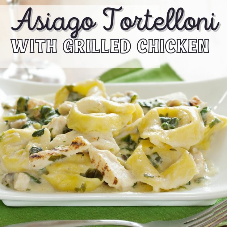 asiago tortelloni with grilled chicken Asiago Tortelloni Alfredo with Grilled Chicken One of my absolute favorite dishes at Olive Garden is the Asiago Tortelloni Alfredo with Grilled Chicken...it's the ultimate comfort food. But did you know it's actually super easy to recreate this meal at home?