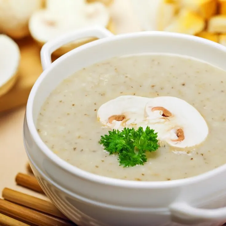 mushroom soup in soup maker 1 Delectable Soup Maker Mushroom Soup Choosing the right mushrooms is crucial for a flavorful soup maker mushroom soup. Here are a few mushroom varieties to consider: