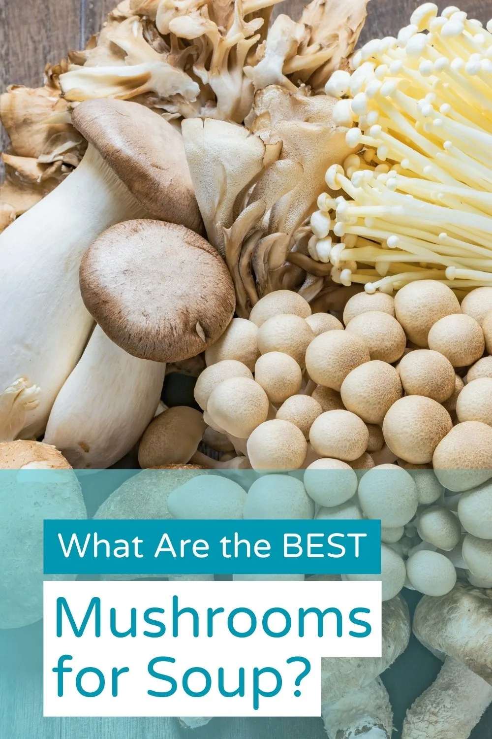 best mushrooms for mushroom soup in soup maker