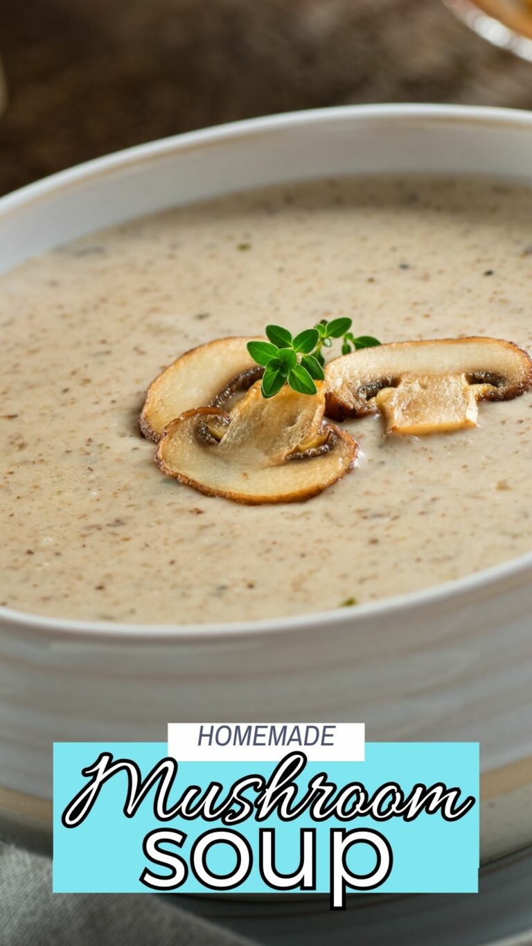 Delectable Soup Maker Mushroom Soup