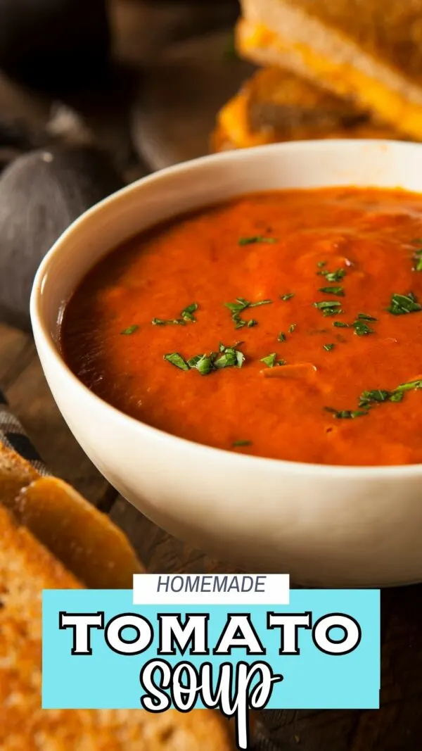 Soup Maker Mushroom Soup - Creamy Easy Soup Recipe