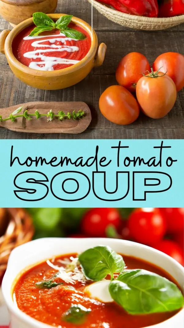 soup maker tomato soup recipe