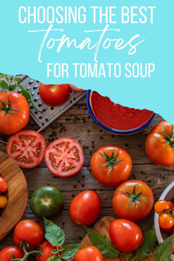 tomatoes for tomato soup in soup maker