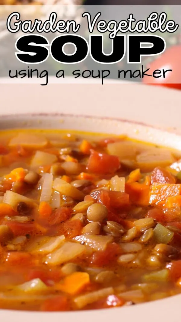 Vegetable Soup in Soup Maker