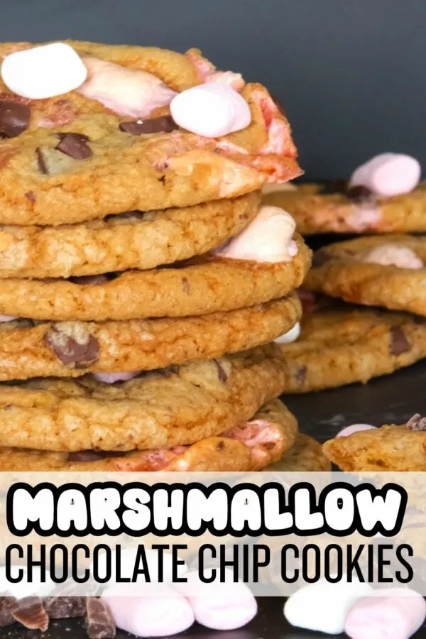 Chocolate Chip Marshmallow Cookies