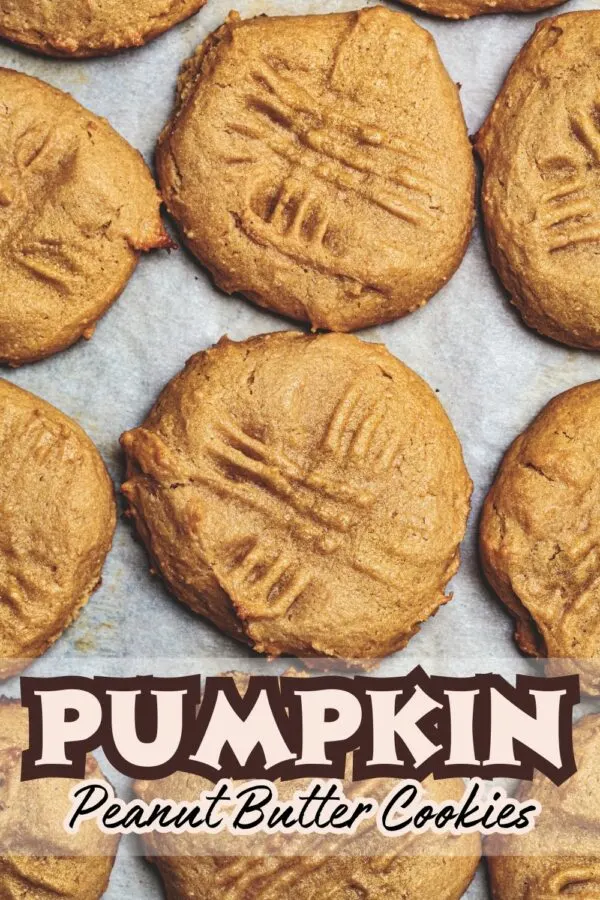 Pumpkin Peanut Butter Cookie Recipe